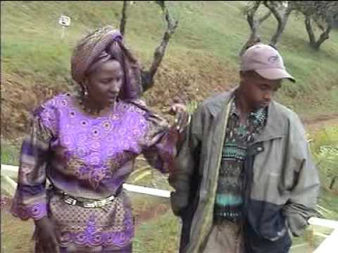 Wangari Kabera - Matatu Cia Gwitu