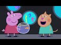 English Cartoon Peppa Pig New Episode 629