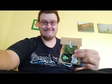 Gandzia Test - S01E04 - Tisha Tiborszalasi CBD