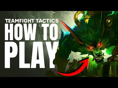 Play Warwick Like A Pro | TFT Set 16 Warwick Guide