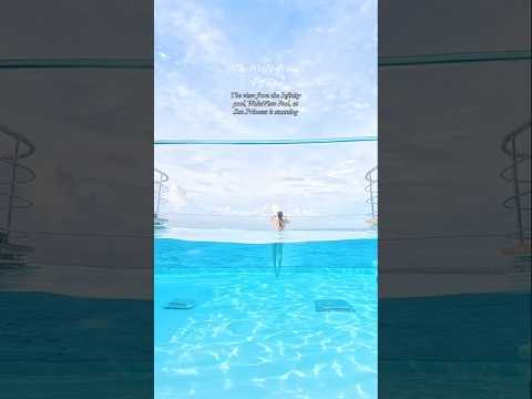 Thumbnail for Infinity Pool太陽公主號無邊際泳池#sun#princess#cruise#holiday#new#reel#video#xmas#seethroughpool#pool