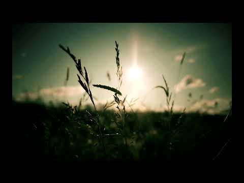 Liquid Drum and Bass Mix 2022 #6