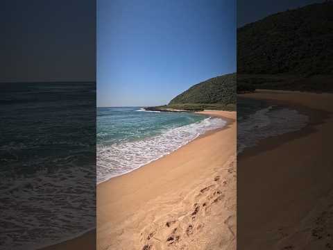 Um olhar para a Praia do Silveira - Garopaba SC