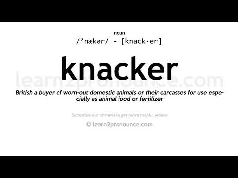 Pronunciation of Knacker | Definition of Knacker