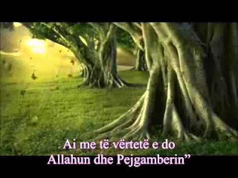 Dashuria ndaj Allahut dhe Pejgamberit shejh Shenkiti