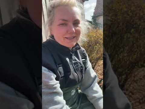 Sowas wie n VLOG #2 | Neues Auto