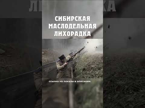 Гражданская война в Сибири Красные против белых Сибирская маслодельная лихорадка Александр Балакшин