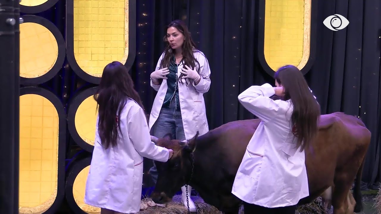 “Aldo po të përdor”/ Rozana- Rizartës: Çiftet e pavërtetë këtu na kanë lodhur