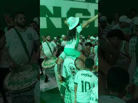 BAIXADA DOS PORCO #palmeiras #manchaverdetorcida