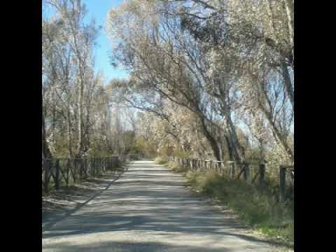 Franco Bagutti   Ricordo di casa mia
