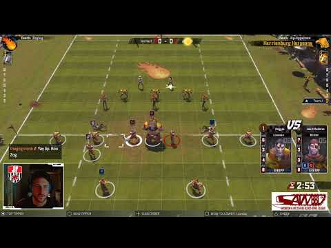 BB2 Humans vs Dark Elves (Zoglug)