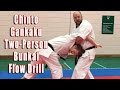 Practical Kata Bunkai Chinto Gankaku Drill