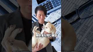 AIで消える職業が実は一番最強であるとんでもない理由