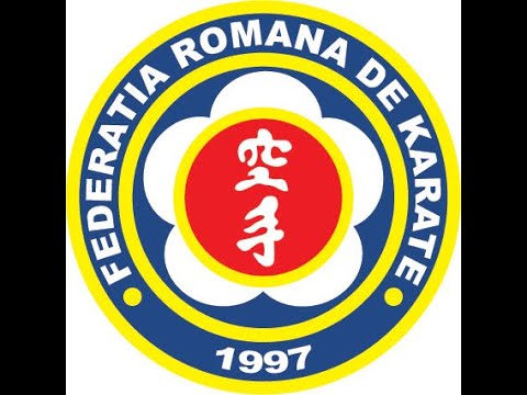 Tatami 1 - CUPA ROMANIEI LA KARATE INTERSTILURI