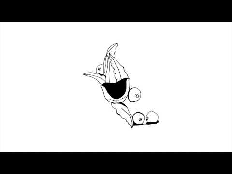 The Kloom - 40 Gram Beton