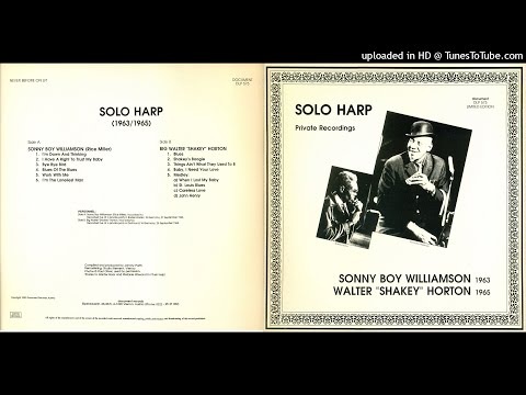 Big Walter "Shakey" Horton  - 07 Blues