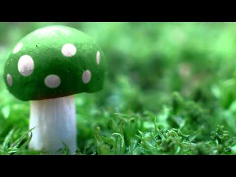 download lagu mp3 mp4 Electro Sun Higher Than Ever 2011, download mp3 Electro Sun Higher Than Ever 2011 free downloadn, video klip Electro Sun Higher Than Ever 2011