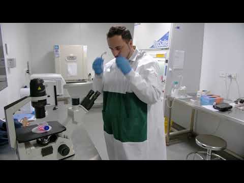 Enterprising Research: preclinical assessment of antimicrobial drugs against wound infections Video