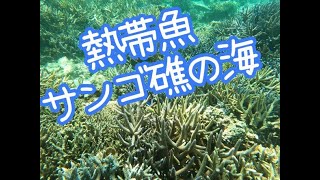 沖縄プロデュース カマダ(Okinawa Produce Kamada)