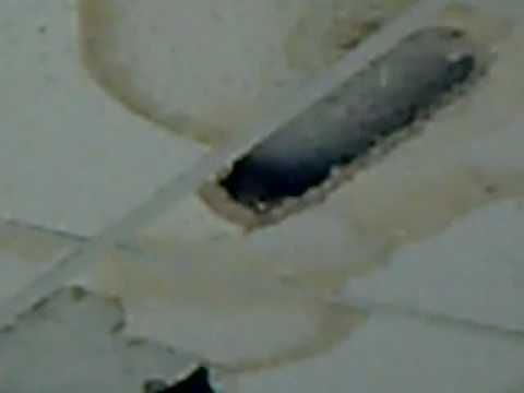 Palatul Justitiei.wmv