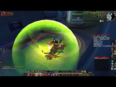 Nothealed (Protection Warrior) solo : +14 Cathedral of Eternal Night (Bolstering, Fortified)