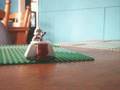 Lego Star Wars Suprising Vid