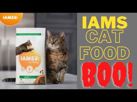 Why You Should Not Feed Your Cat Iams (or Any Other Cheap Food)