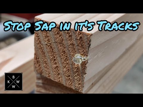 Stop Sap from Leaking Out of Your Boards