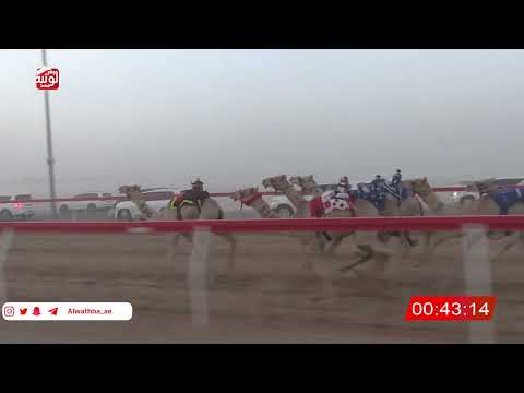 ش 2 (شاهين) لـ احمد مبارك عنوده العامري 2:04 , شارة الصندوق 2026/06/20 فطامين الروضة 