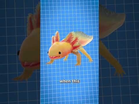 This Creature Can Regrow Its Limbs 🦎