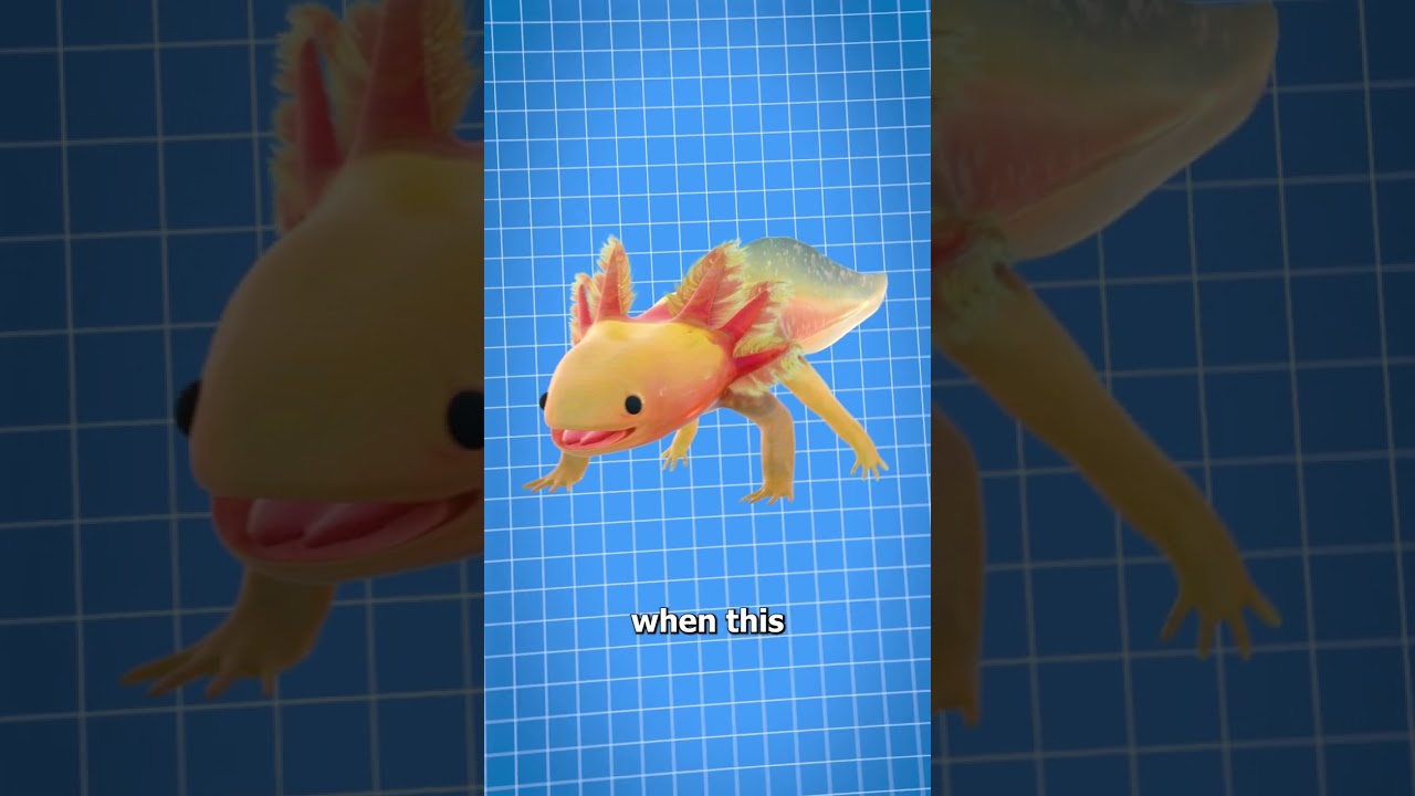 This Creature Can Regrow Its Limbs 🦎