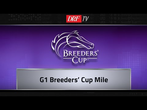 Breeders' Cup Mile 2018 Preview