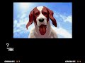 KOF 2003 Women S Team Ending
