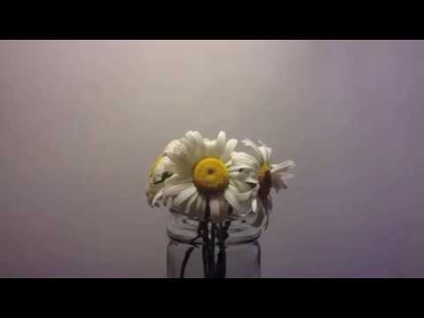 drip133 & falls - yeah, I'll try (directed by @C0RPGRAF)