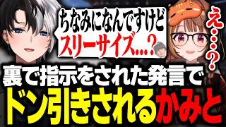【VCR RUST3】裏で指示を出された発言でドン引きされるKamito【Rust/かみと/千燈ゆうひ/ヘンディー】