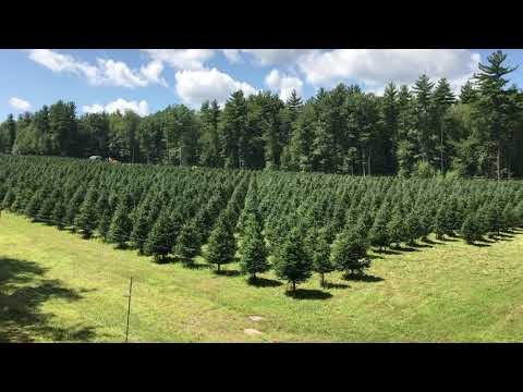 Highland Plantation Newton NH 2017