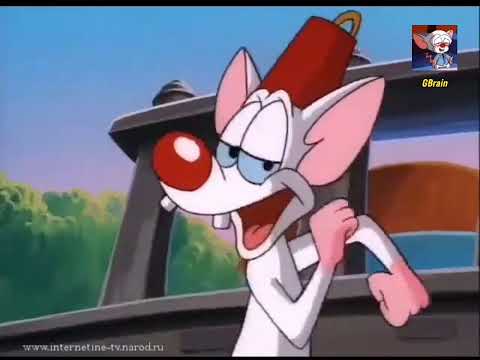Pinky and the Brain - The Schmëerskåhøvên (Lithuanian)