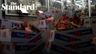 Remembrance poppies to be plastic-free this year in major redesign