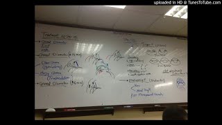 11) Dr.Wael Salah Glaucoma 3