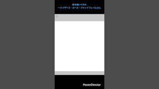 絵を描いてみた〜エリザベス・ローズ・ブラッドフレイムさん#ホロライブ#エリザベス#模写#成長日記