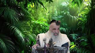 הרב מאיר דוד שמואלי -חשיבות הכרת הטוב
