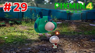 オリマーとモスの運命の出会い【ピクミン４#２９】
