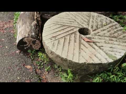 Going to Cades Cove, Great Smoky Mountains National Park