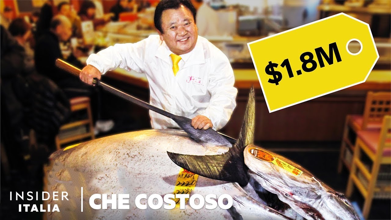 Perchè il tonno rosso è così costoso | Che Costoso | Insider Italiano
