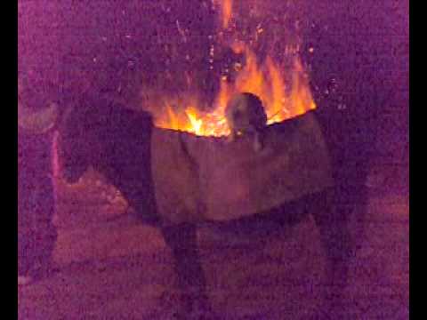 Paterna del Madera (Albacete) - Luminaria de San Antón 2009 (3)