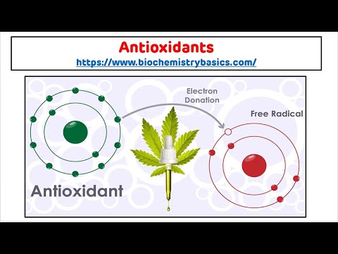 Antioxidants || Antioxidants Biochemistry || Free Radical Scavengers