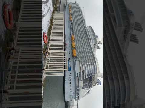 Symphony of the seas in dry dock - opening time