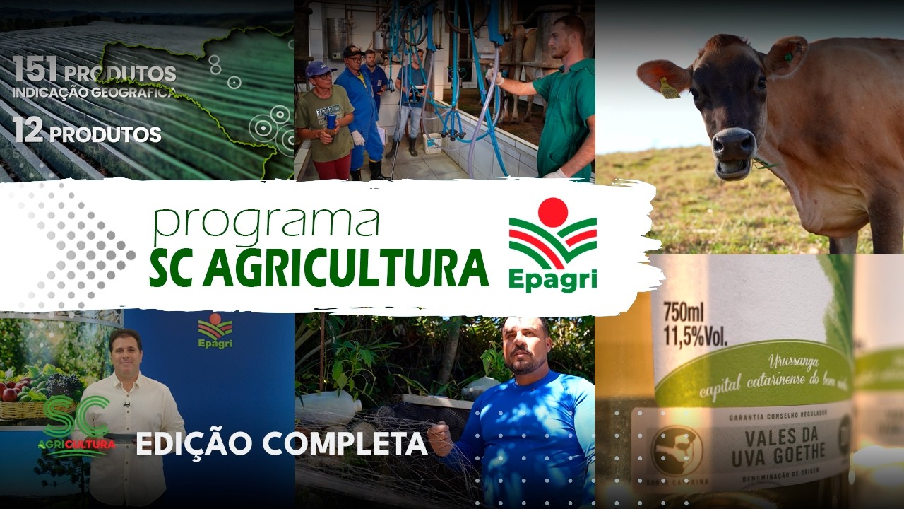 SC Agricultura: Pecuária Leiteira, Indicações Geográficas e Pesca Artesanal
