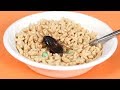 Roach In Food von JesseAndMike vor 2 Ja