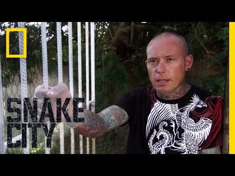 The Vanishing Mamba | Snake City